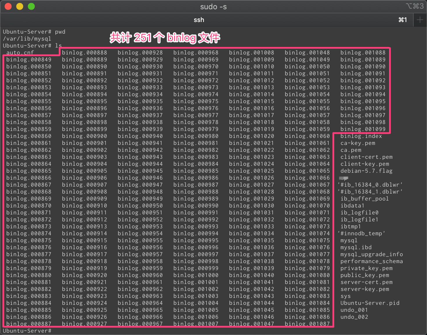 /var/lib/mysql 下大量的 binlog 文件